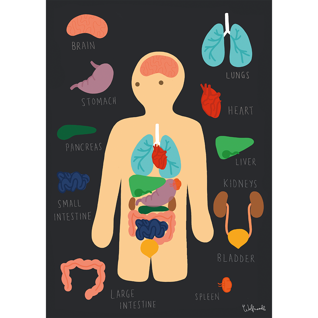 My Body A2 Poster