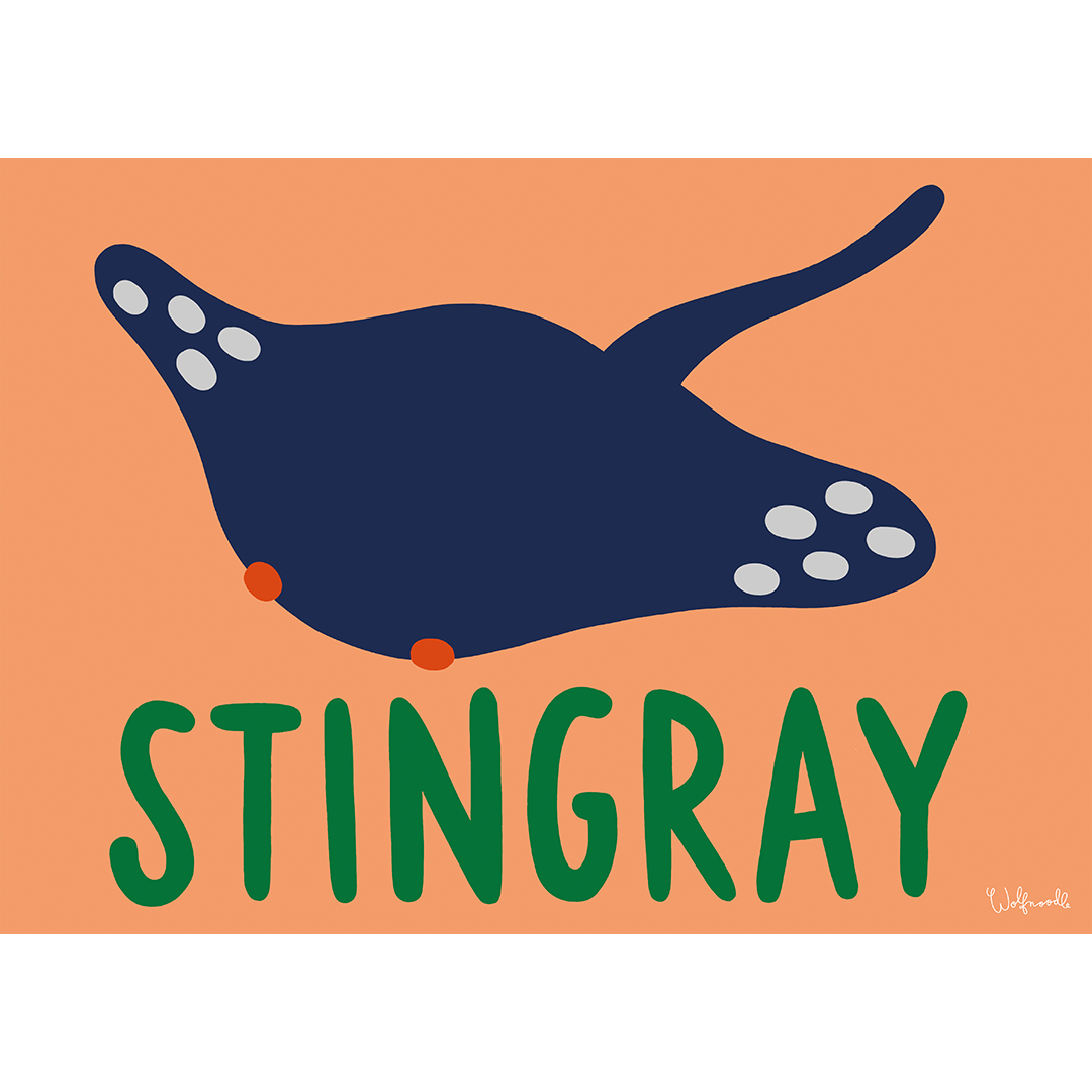 Stingray